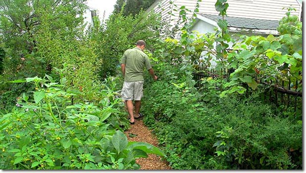 Preppers, Get Ready For Secret Gardening