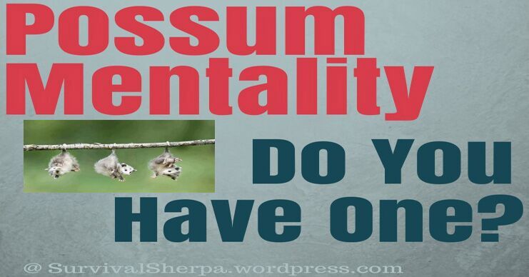 Top 8 Reasons You Need A Possum Mentality To Survive What's Coming