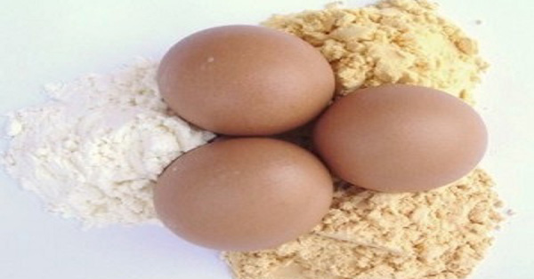 powdered-eggs