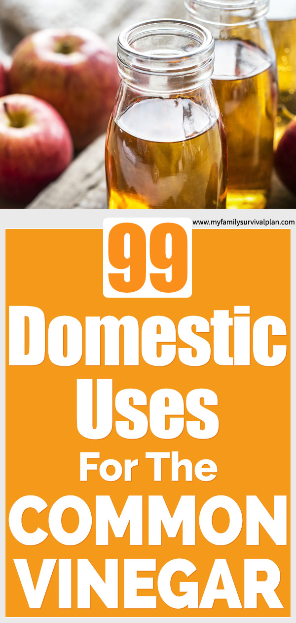99 Domestic Uses For The Common Vinegar