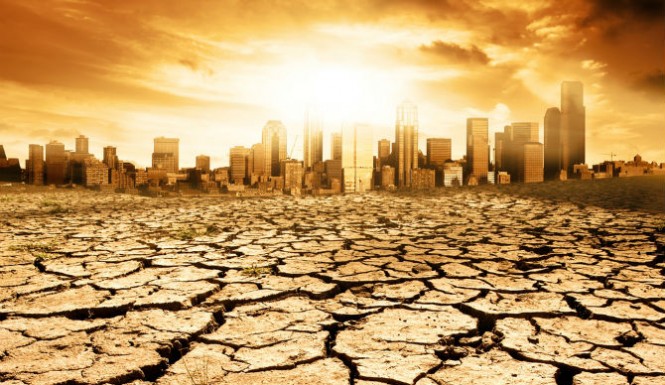 The Worst Drought Of The Millennium! What It Means And How We Can Fight ...