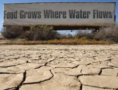 food grows where water flows