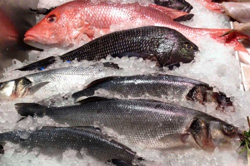 5 Most Nutritious Fish Found In The USA