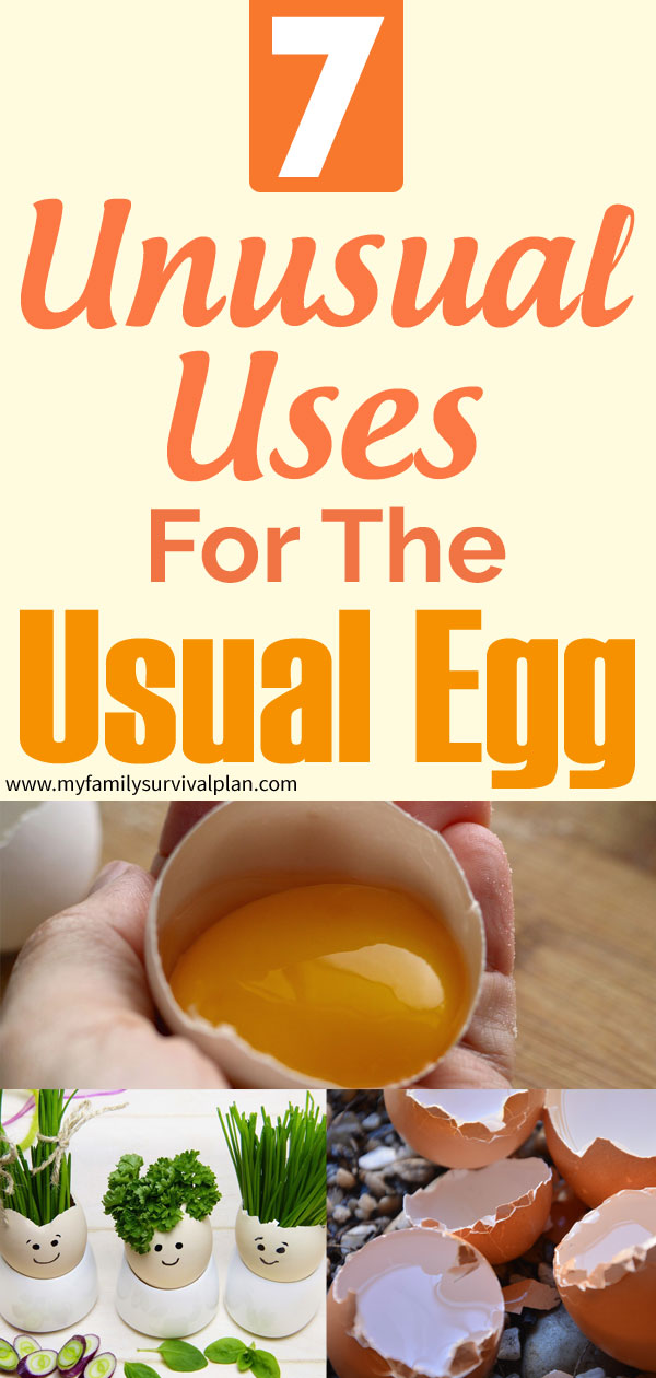 7 Unusual Uses For The Usual Egg