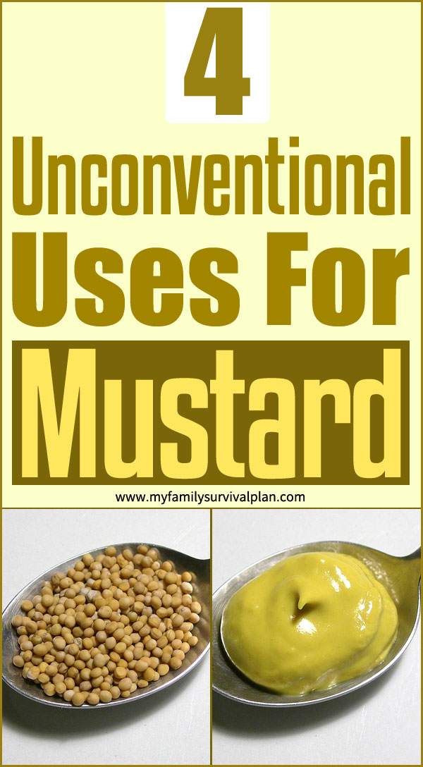 4 Unconventional Uses For Mustard
