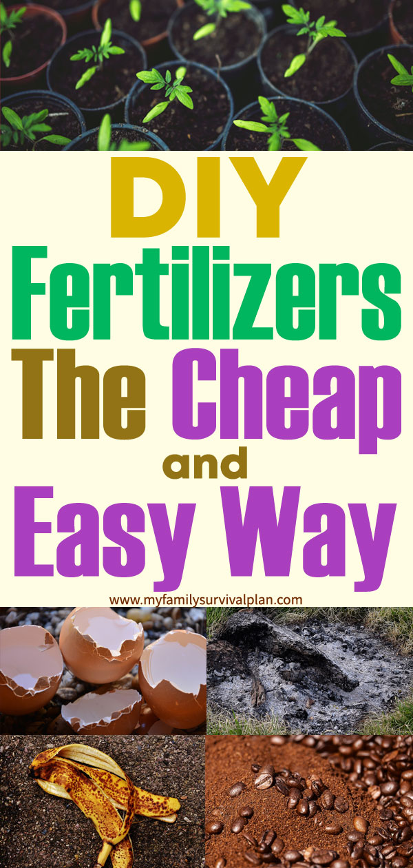 DIY Fertilizers The Cheap & Easy Way